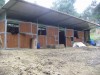 Centre equestre Santa Barbara-Pomarance